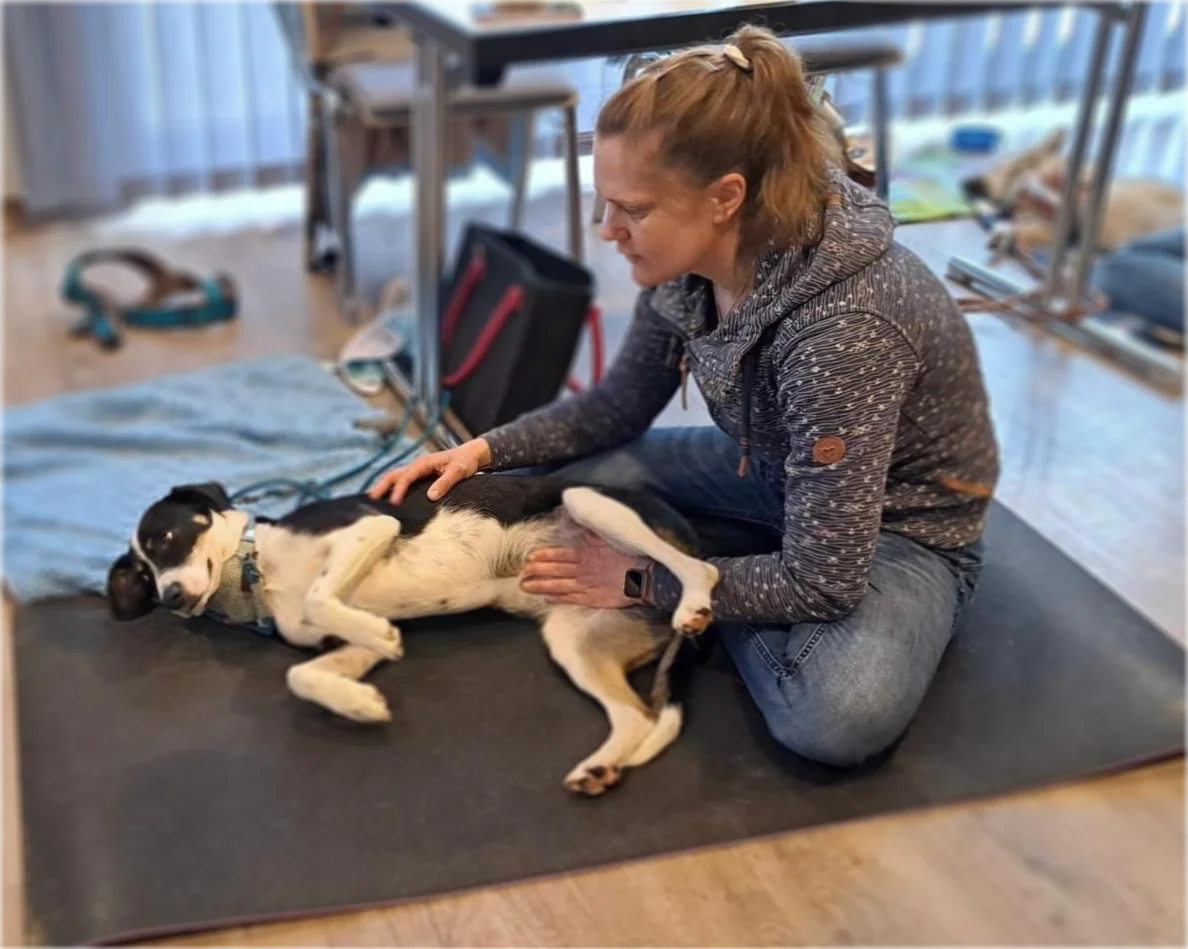 Maike Thomsen bei der osteopathischen Behandlung von Hund Toffe