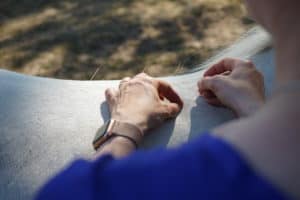 Pferd bei der Akupunktur