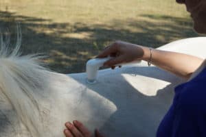 Novafon-Behandlung beim Pferd
