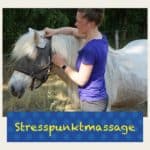 Stresspunktmassage beim Pferd