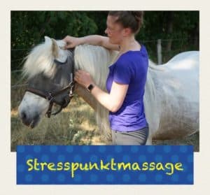 Stresspunktmassage beim Pferd