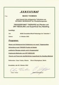 Zertifikat Triggerpunkttherapie