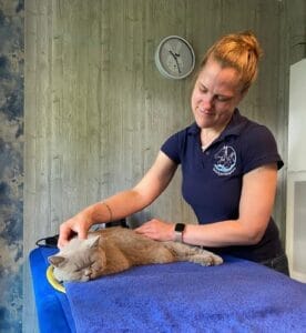 Kater Monty genießt seine Osteopathie-Behandlung