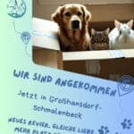 Die Praxis ist nach Großhansdorf umgezogen