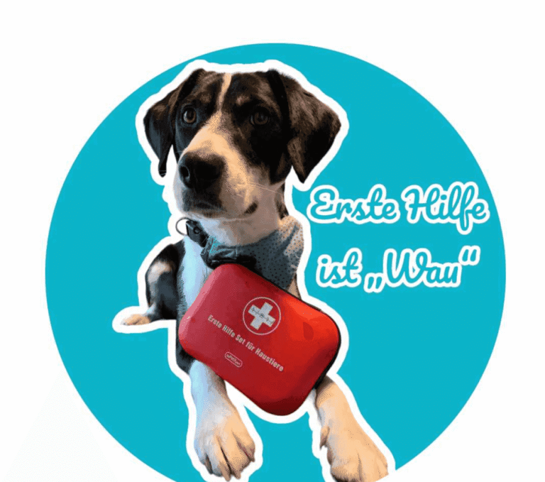 Erste Hilfe für Hunde und Katzen
