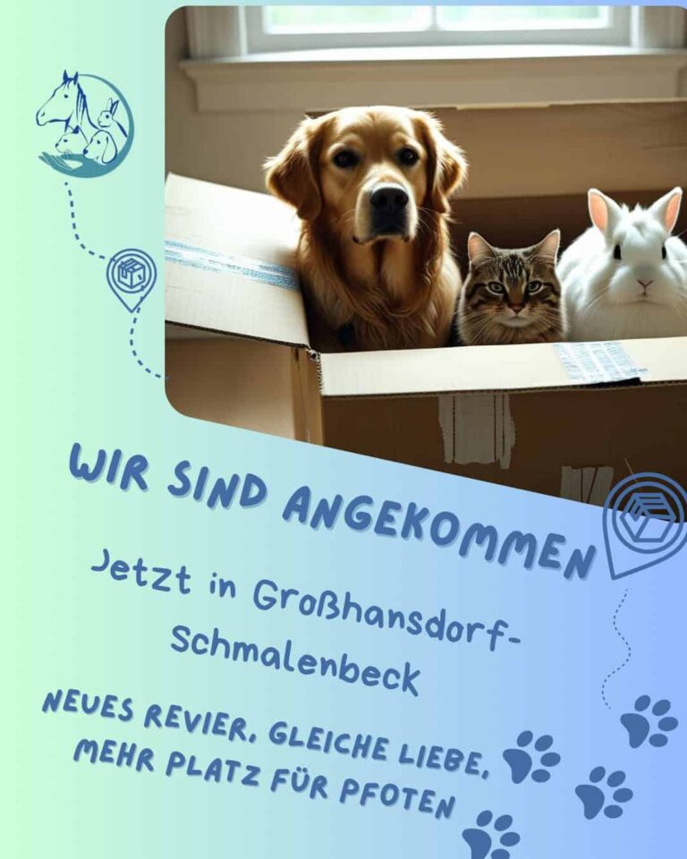 Tierisch gut umgezogen: Mehr Raum für Pfoten und Wohlgefühl