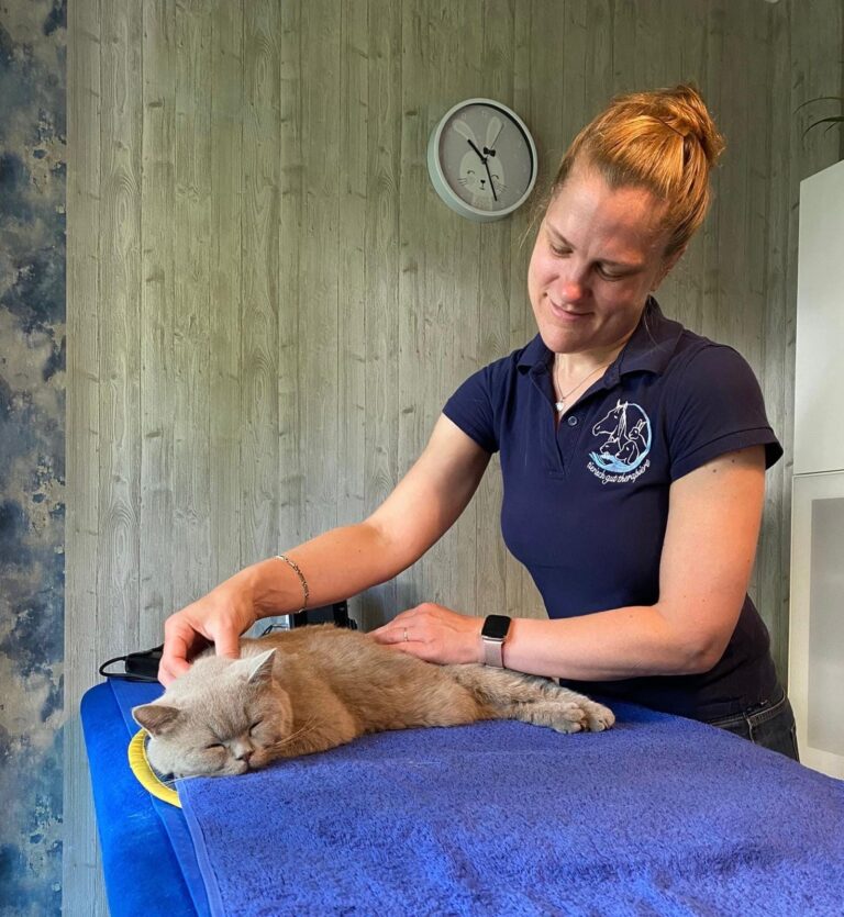 Kater Monty genießt seine Osteopathiebehandlung