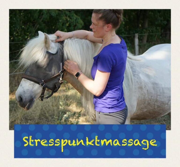 Stresspunktmassage beim Pferd